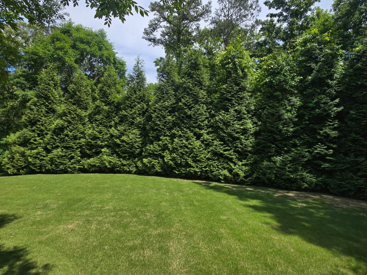 Romero Landscaping